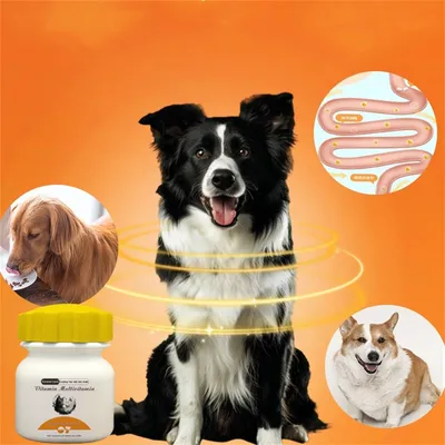 FurryFusion Vitaminas para perros y gatos, 100 comprimidos