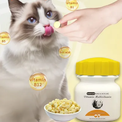 FurryFusion Vitamine Chien & Chat 100 Comprimés