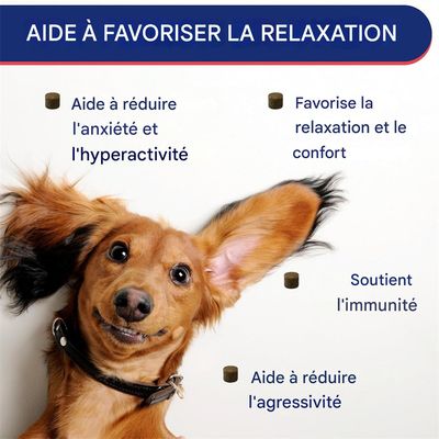 FurryFusion Comprimés à croquer contre les allergies pour chien