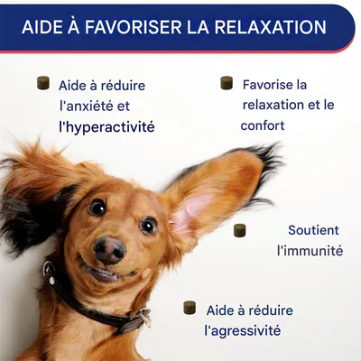 FurryFusion Comprimés à croquer contre les allergies pour chien