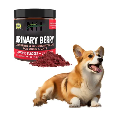 FurryFusion Gâteries probiotiques