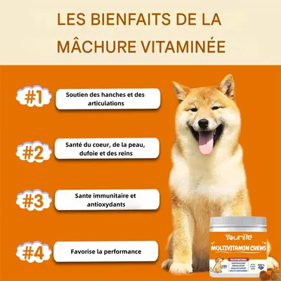 FurryFusion Vitamines à mâcher pour animaux de compagnie
