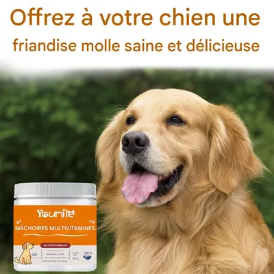 FurryFusion Vitamines à mâcher pour animaux de compagnie