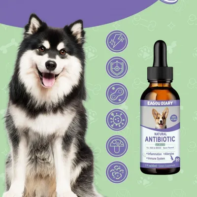 FurryFusion Antibiotiques pour Chiens