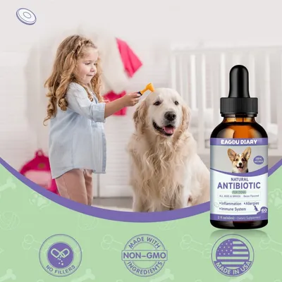 FurryFusion Antibiotiques pour Chiens