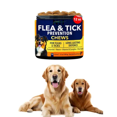 FurryFusion Gâteries probiotiques