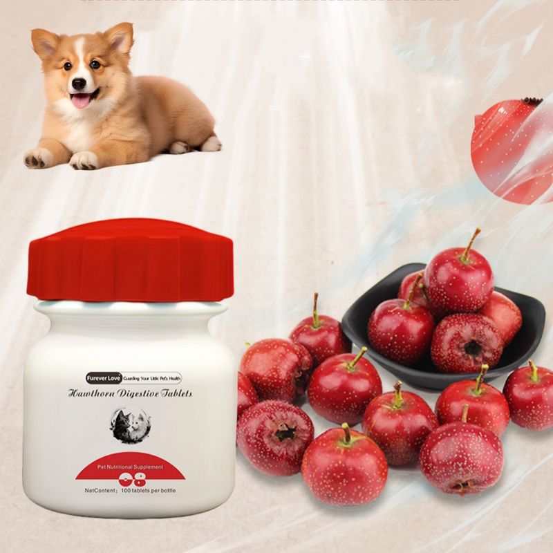 FurryFusion Probiotic Chews aubépine pour chien