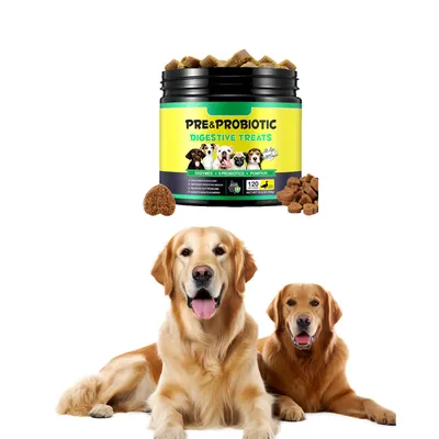 FurryFusion Gâteries probiotiques pour animaux de compagnie