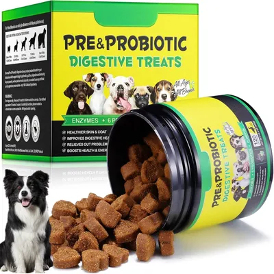 FurryFusion Comprimés à croquer probiotiques pour chien