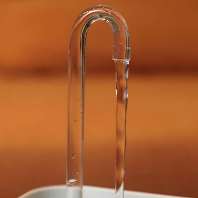 FurryFusion Fontaine à eau pour chat à débit réglable