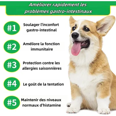 FurryFusion Comprimés à croquer probiotiques pour chien