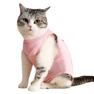 FurryFusion Wundschutzweste für Katzen FurryFusion Wundschutzweste für Katzen