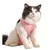 FurryFusion Wundschutzweste für Katzen FurryFusion Wundschutzweste für Katzen