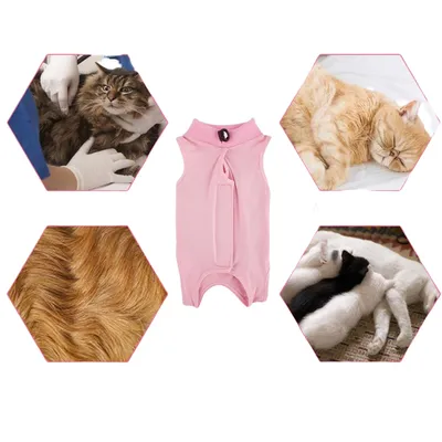 FurryFusion Wundschutzweste für Katzen FurryFusion Wundschutzweste für Katzen
