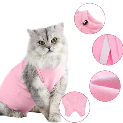 FurryFusion Wundschutzweste für Katzen FurryFusion Wundschutzweste für Katzen