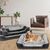 FurryFusion Panier pour chien sain