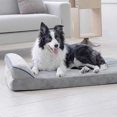 FurryFusion Panier pour chien gris avec oreiller