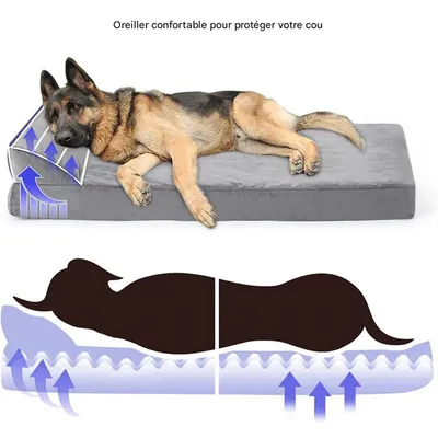 FurryFusion Panier pour chien gris avec oreiller