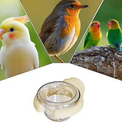 FurryFusion Mangeoire pour cage d'oiseaux