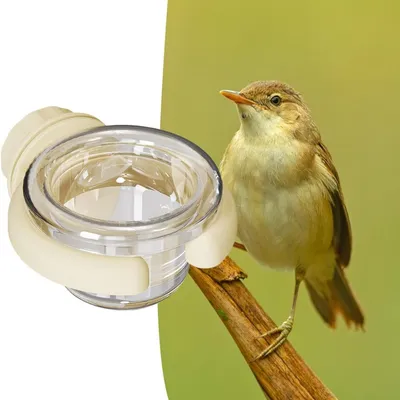 FurryFusion Mangeoire pour cage d'oiseaux