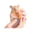 FurryFusion Biscuits aux carottes pour petits animaux