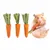 FurryFusion Biscuits aux carottes pour petits animaux
