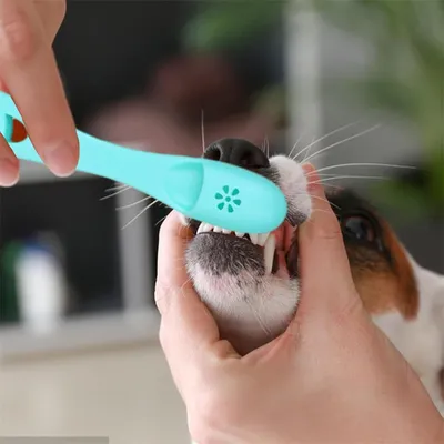 FurryFusion Kit de brosse à dents et dentifrice pour chien