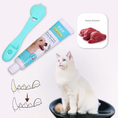 FurryFusion Kit de cepillo y pasta de dientes para perros