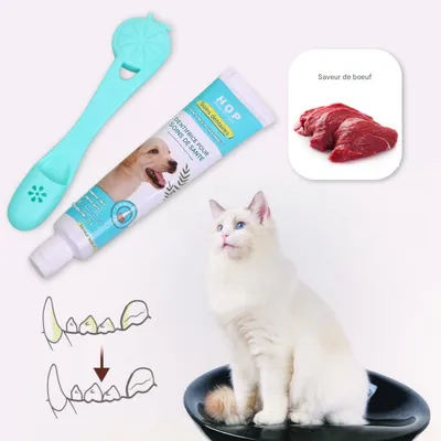 FurryFusion Kit de brosse à dents et dentifrice pour chien