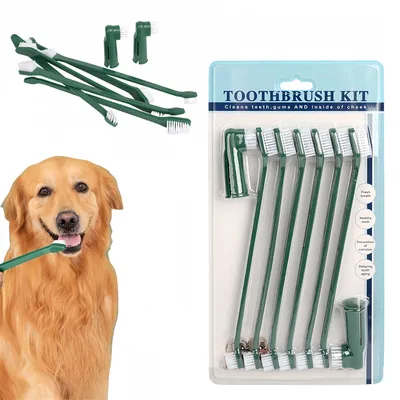 FurryFusion - Lot de Brosse à Dents Chiens et chats