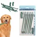 FurryFusion - Lot de Brosse à Dents Chiens et chats