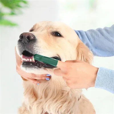 FurryFusion - Lot de Brosse à Dents Chiens et chats