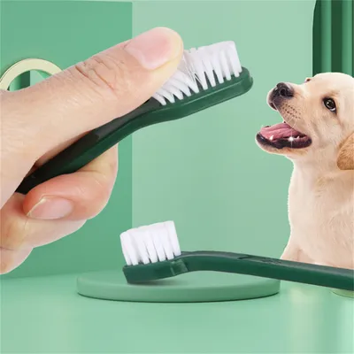 FurryFusion - Lot de Brosse à Dents Chiens et chats