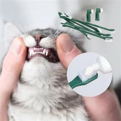 FurryFusion - Lot de Brosse à Dents Chiens et chats