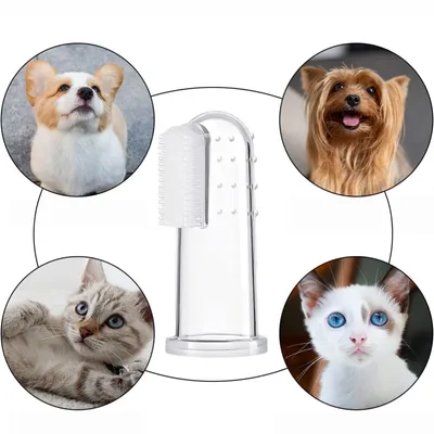 FurryFusion Lot de brosses à dents pour chien et chat