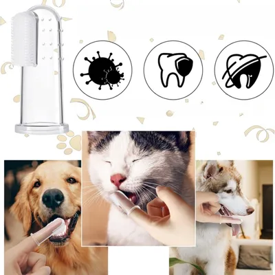 FurryFusion Lot de brosses à dents pour chien et chat