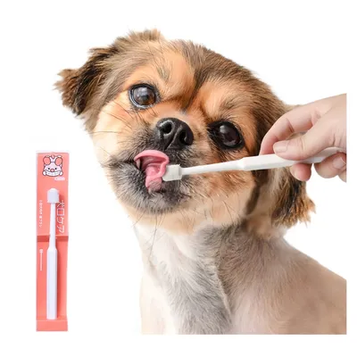 FurryFusion Brosse à dents pour animaux de compagnie