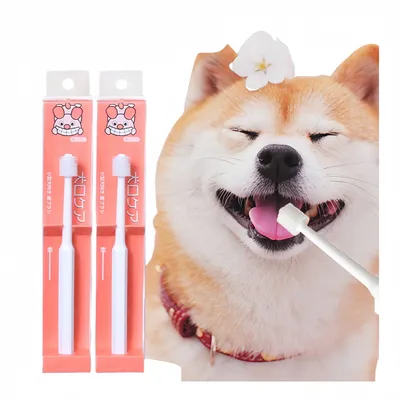 FurryFusion Brosse à dents pour animaux de compagnie