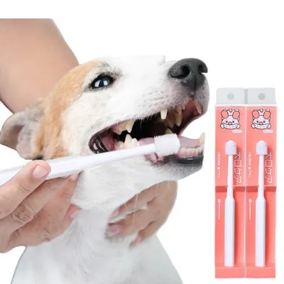 FurryFusion Cepillo de dientes para mascotas