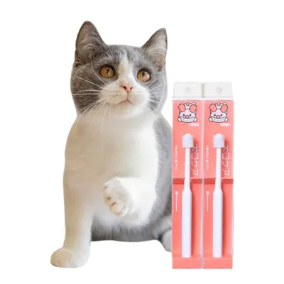 FurryFusion Brosse à dents pour animaux de compagnie