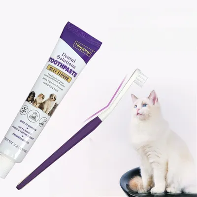 FurryFusion - Lot de Brosse à Dents et Dentifrice