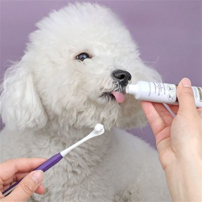 FurryFusion - Lot de Brosse à Dents et Dentifrice