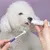 FurryFusion - Lot de Brosse à Dents et Dentifrice