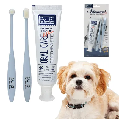 FurryFusion Kit de pasta de dientes y cepillo de dientes