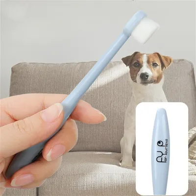 FurryFusion - Kit Dentifrice et Brosse à Dents