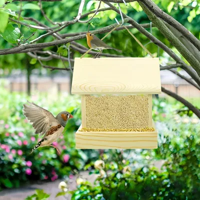 FurryFusion Mangeoires à Oiseaux en Bois pour l'extérieur