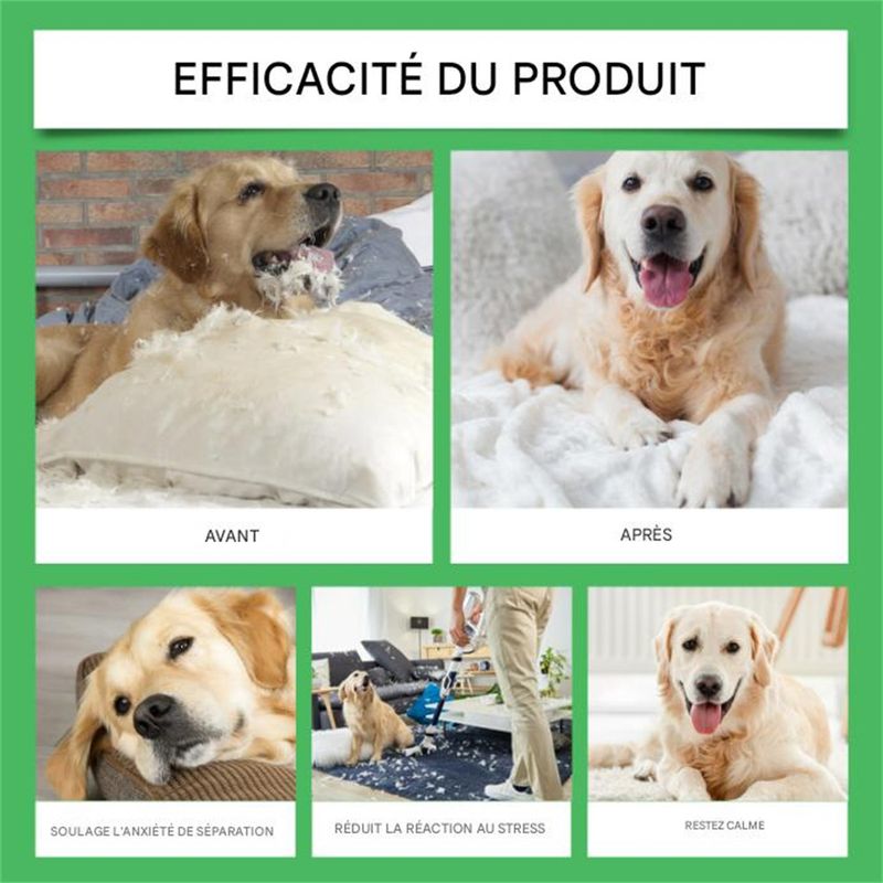 FurryFusion - Kit Diffuseur d'Arômes Calmants pour Chiens 45ml