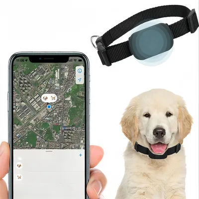 FurryFusion - Collier GPS Tracker pour Chats