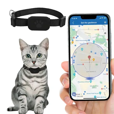 FurryFusion - Collier GPS Tracker pour Chats