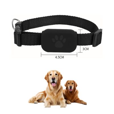 FurryFusion Collar con rastreador GPS para gatos